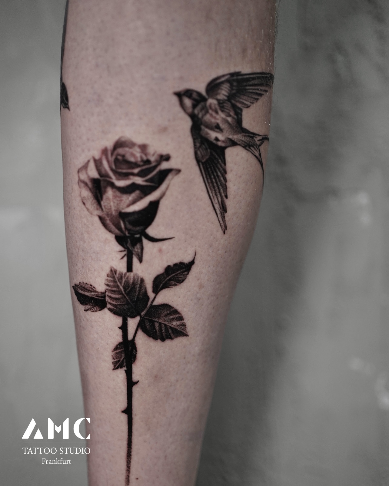 rose vögel tattoo frankfurt