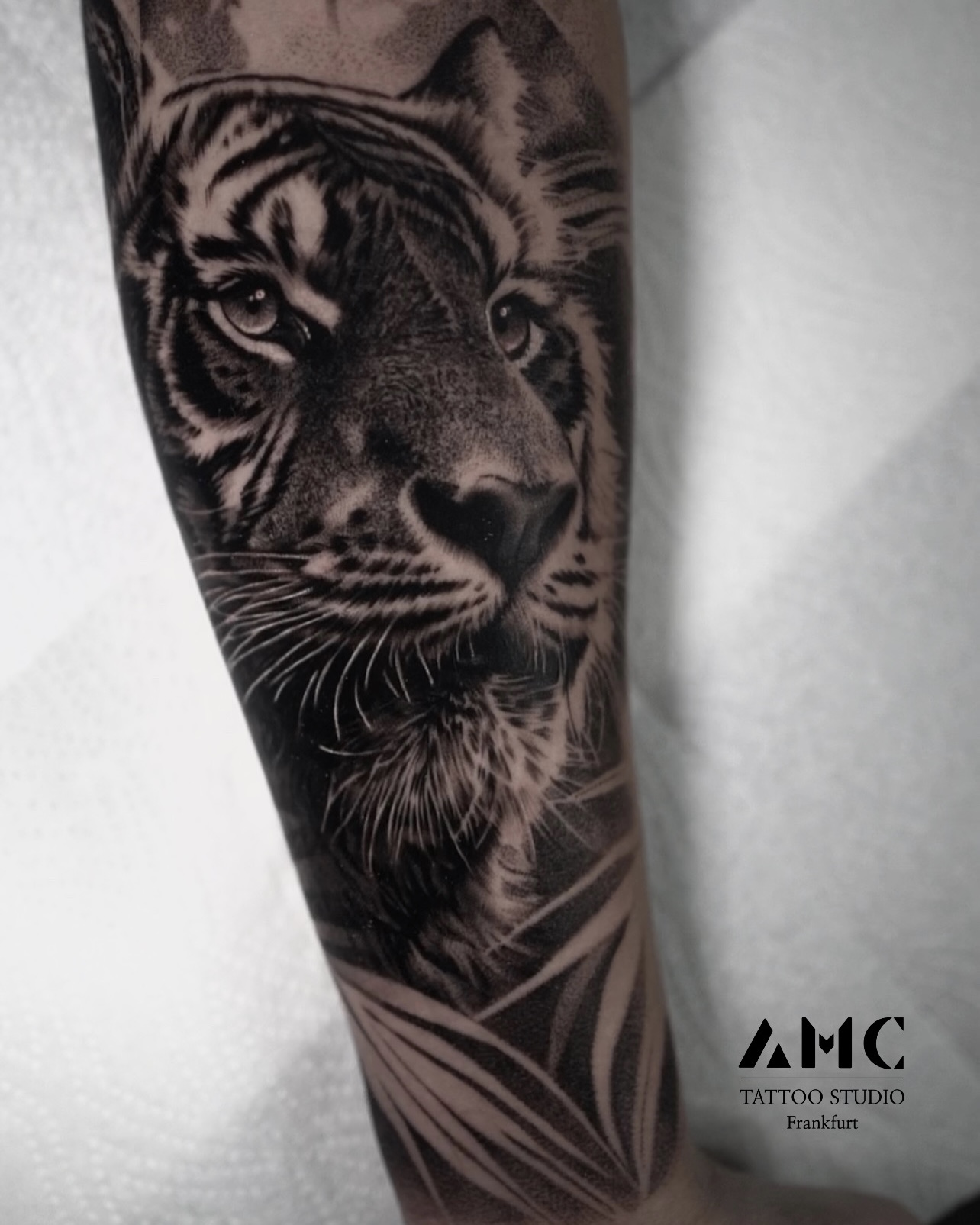 Tiger tattoo frankfurt