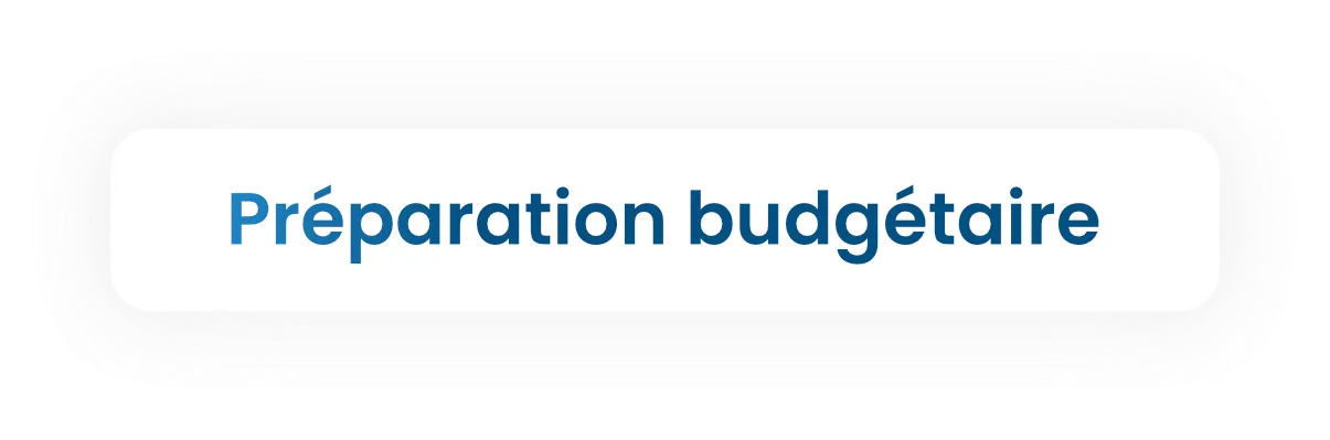 Button with the text 'Préparation budgétaire' in blue font on a white rounded rectangle.