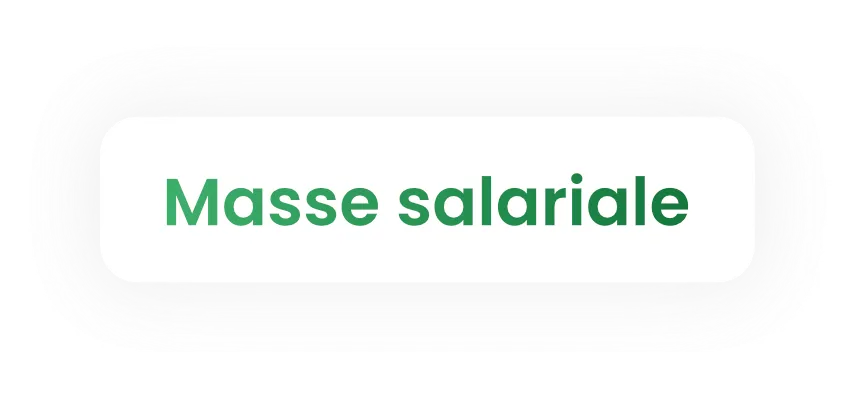 Green text 'Masse salariale' on a white rounded rectangular background with soft shadow.