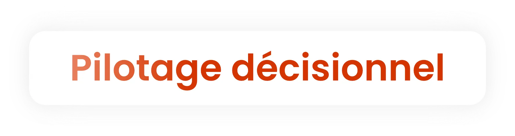 Rounded white button with the text 'Pilotage décisionnel' in bold orange letters.