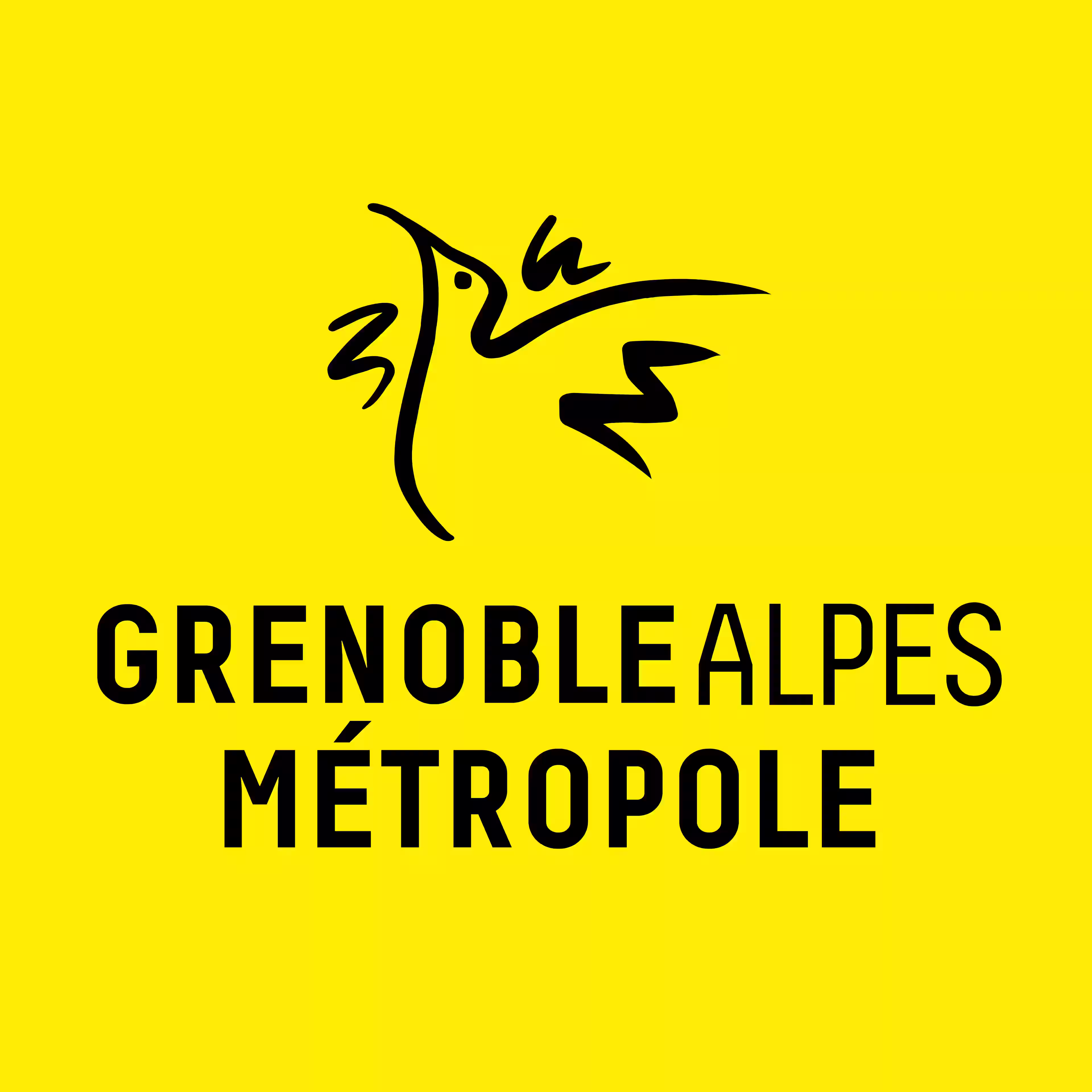 Logo stylisé d'un oiseau noir au-dessus du texte Grenoble Alpes Métropole sur fond jaune.