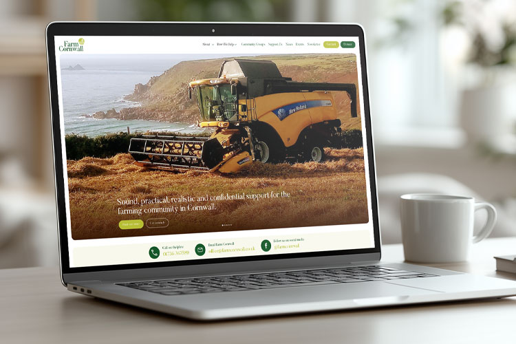 Logo and branding Cornwall - Stacey Mann Estates - Penzance