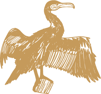Cormorant Illustration Cornwall