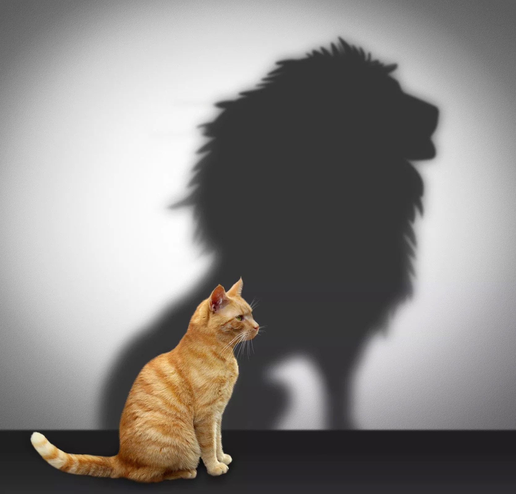Chasing Motivation Again?