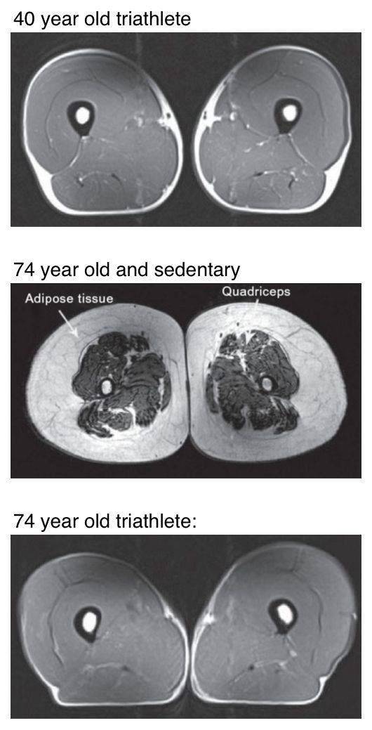 What This Image Really Shows (And Why It Matters More Than Age)
