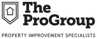 The Pro Group