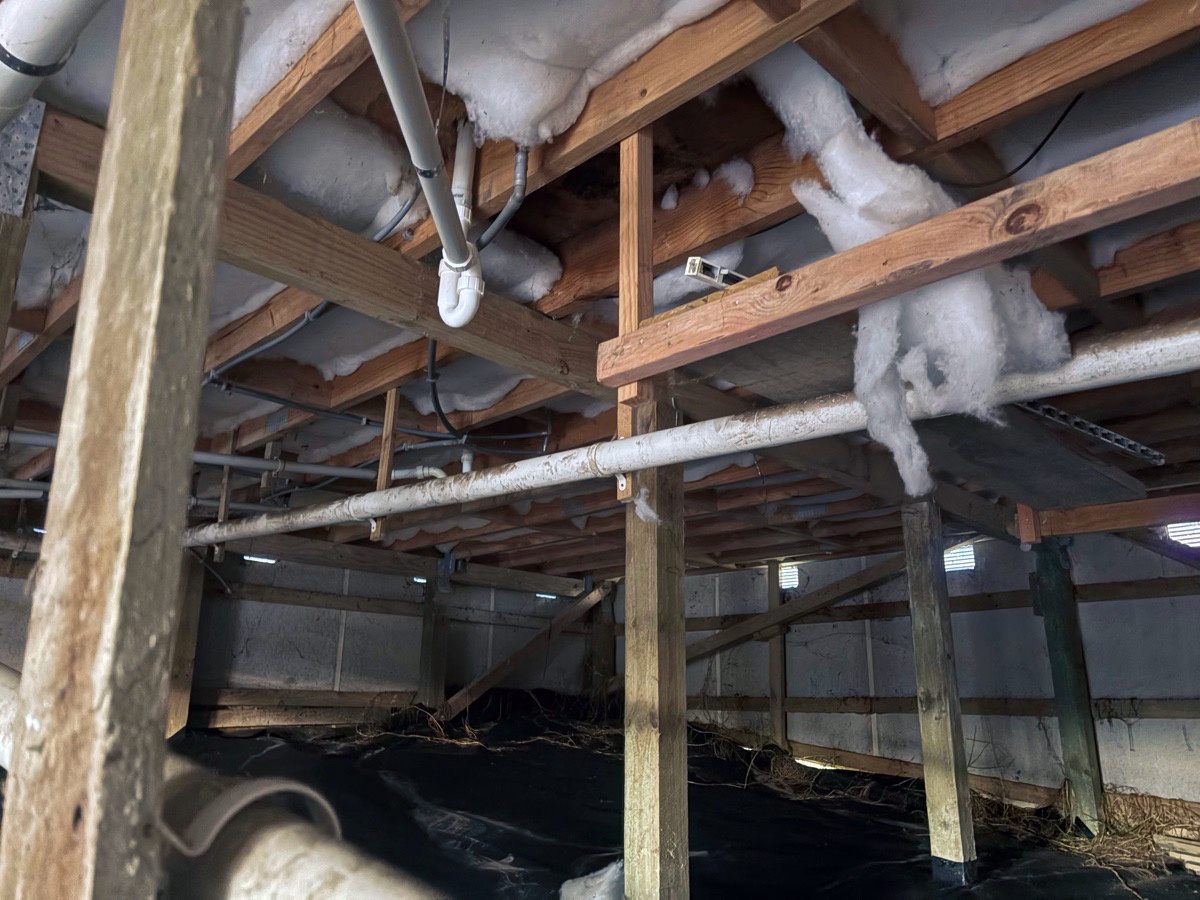 Under a house floor, timber joists and bearers on piles with insulation tucked between the joists