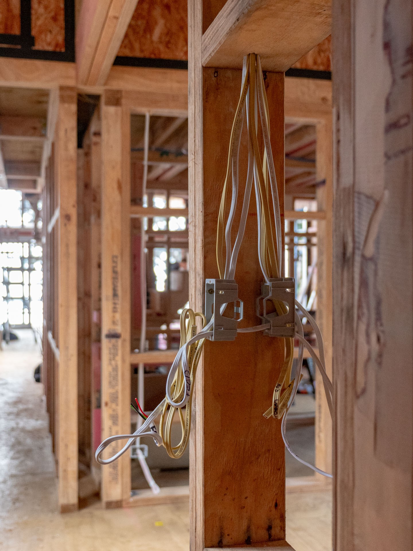 Two flush boxes fixed to a timber stud in a framed wall with cables looped ready for fit-off