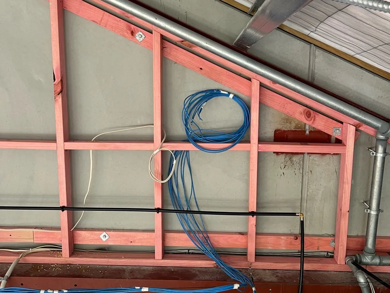 Blue data cables run along pink timber studs under a sloping roof in a bare commercial shell