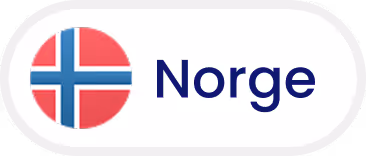 Norge-flagga