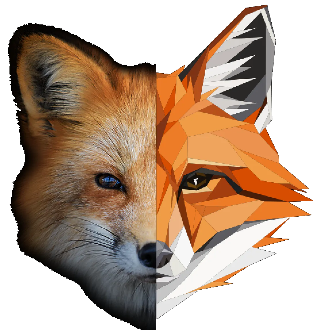 renard