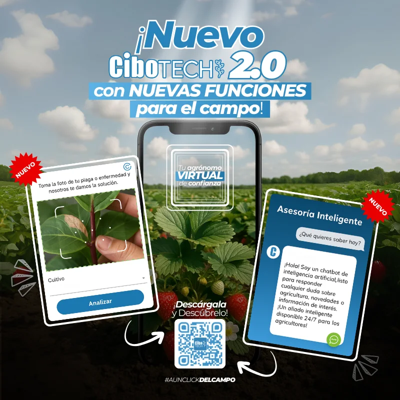 imagen promoción cibochem