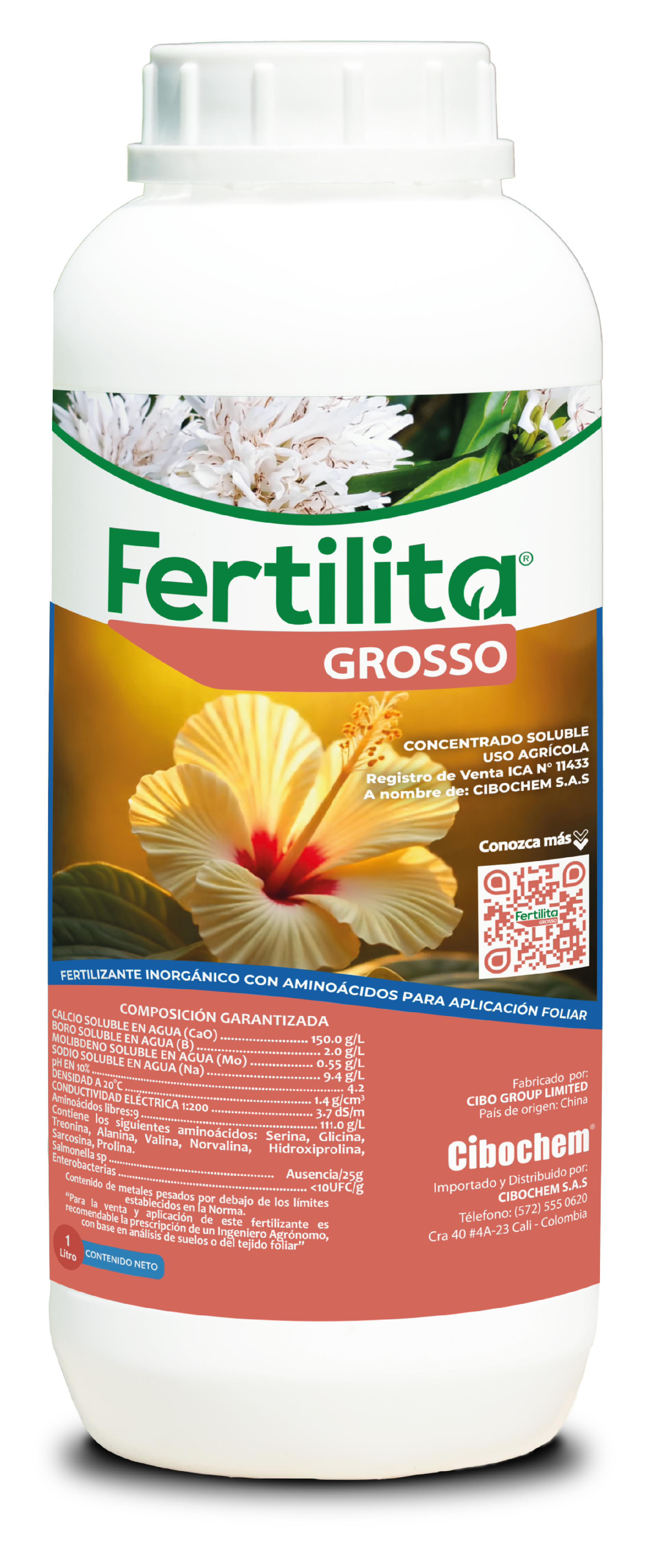 Fertilita Grosso