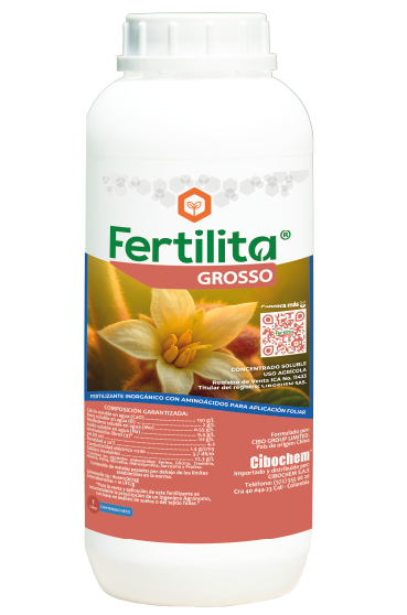 Fertilita Grosso