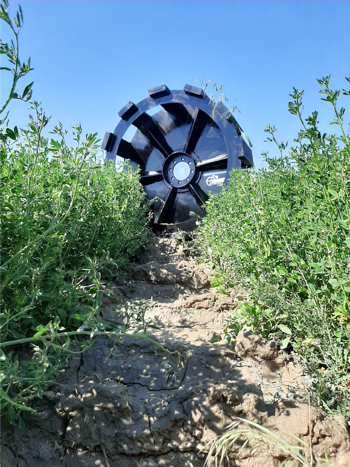 Close-up view of a large black agricultural wheel on cracked soil, surrounded by green plants under a clear blue sky.