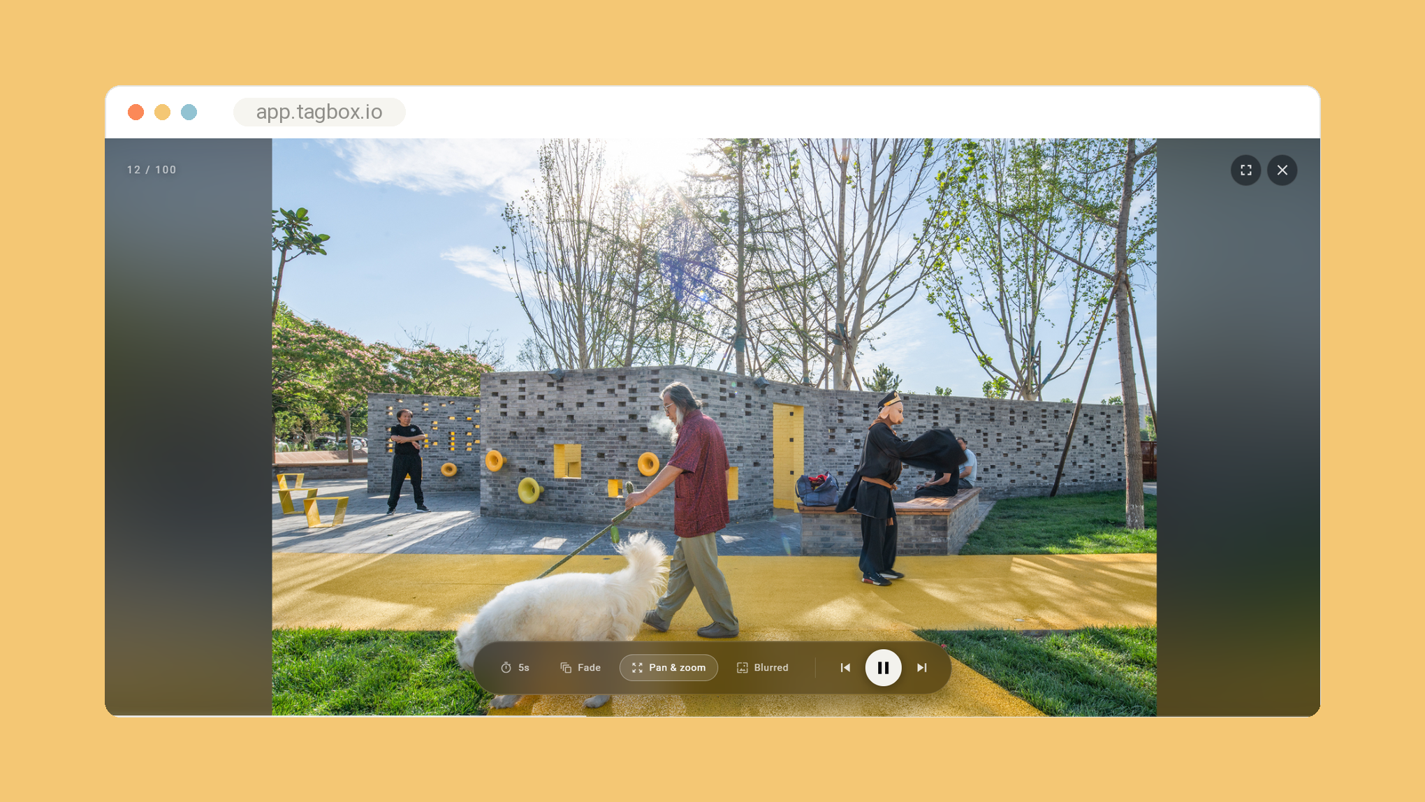 A collection playing as a full-screen slideshow, with duration and transition controls