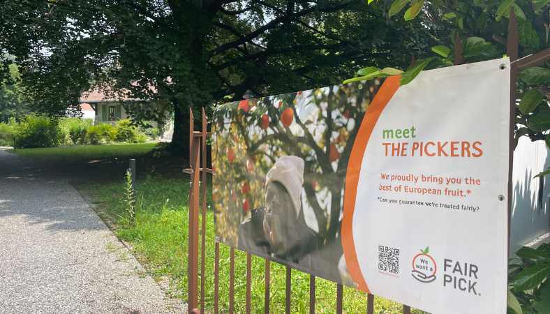 The Pickers at the StoryBoard House: Rethinking Our Food Systems