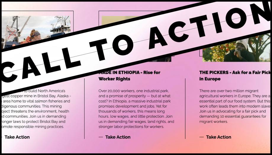 Our New Webpage Is Live – Support Our Grantees!