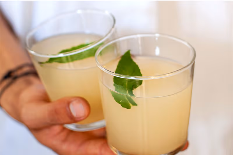 Lemonade Stand