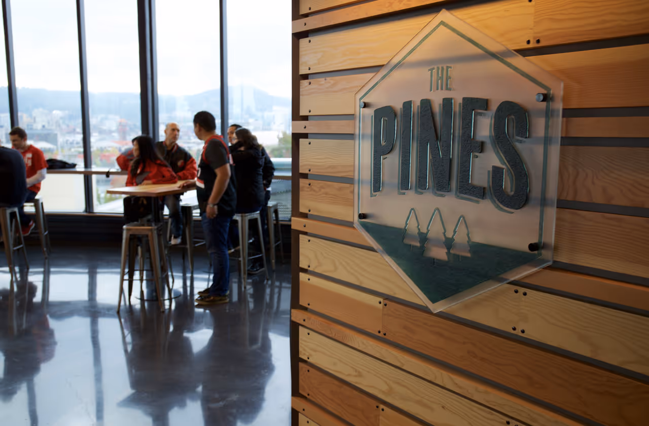 The Pines