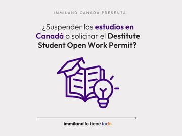 Should I take a break from my studies in Canada or apply for the Destitute Student Open Work Permit? 