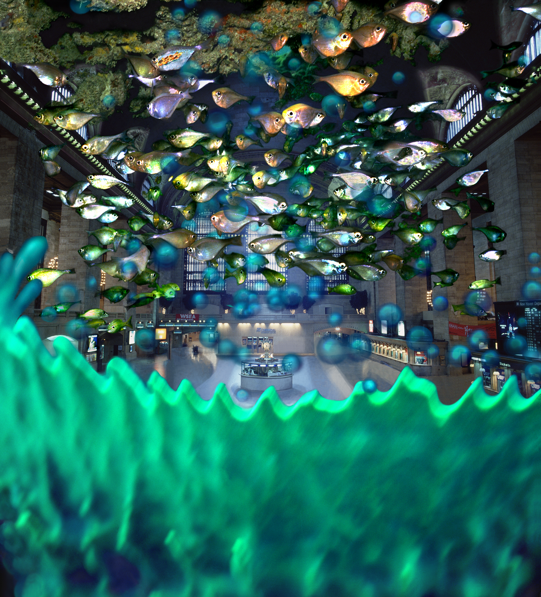 Grand Basket (Leave Only Bubbles)