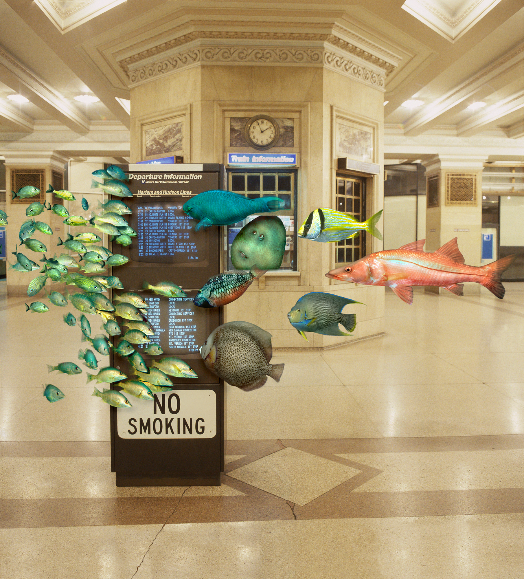 No Smoking