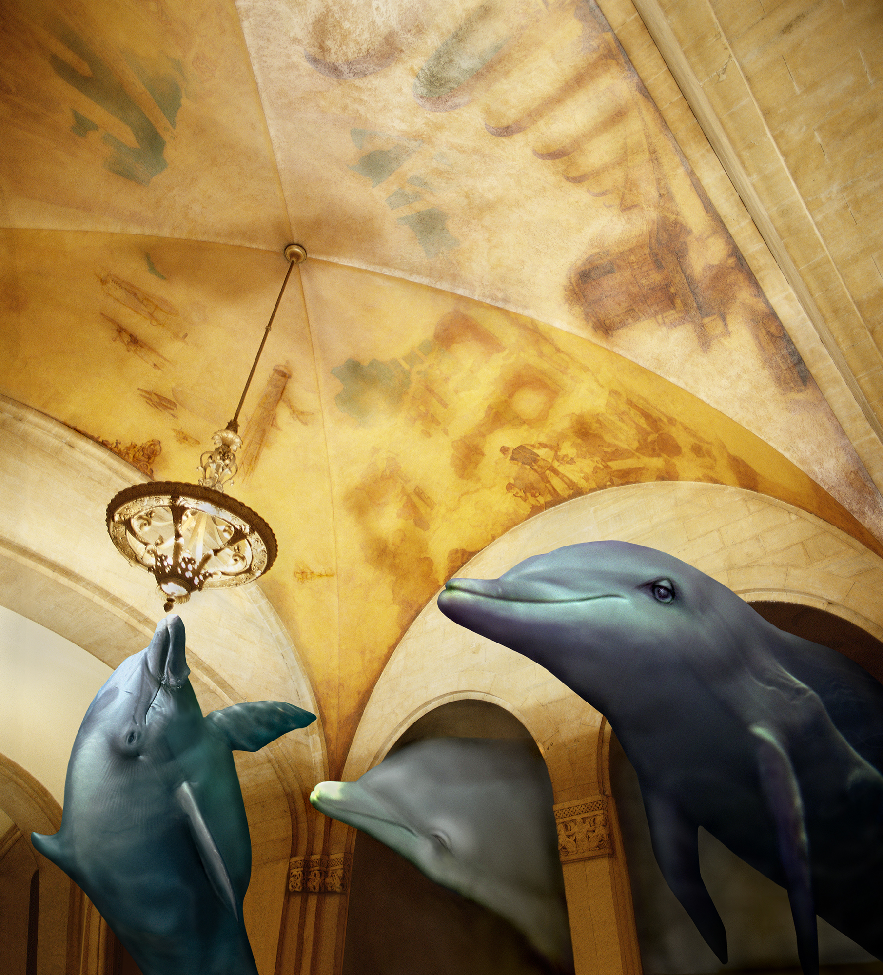 Dolphins (History of Transportation)