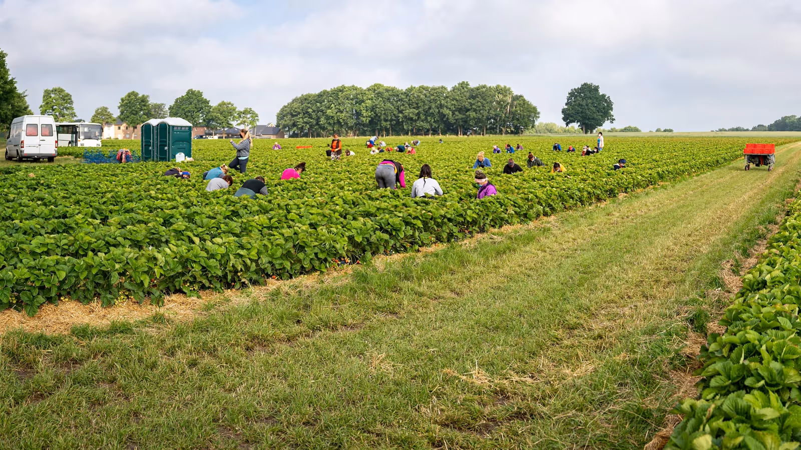 Leads to blog post. Decorative image.