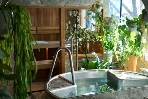 room covered in stone titles with a shower and sauna