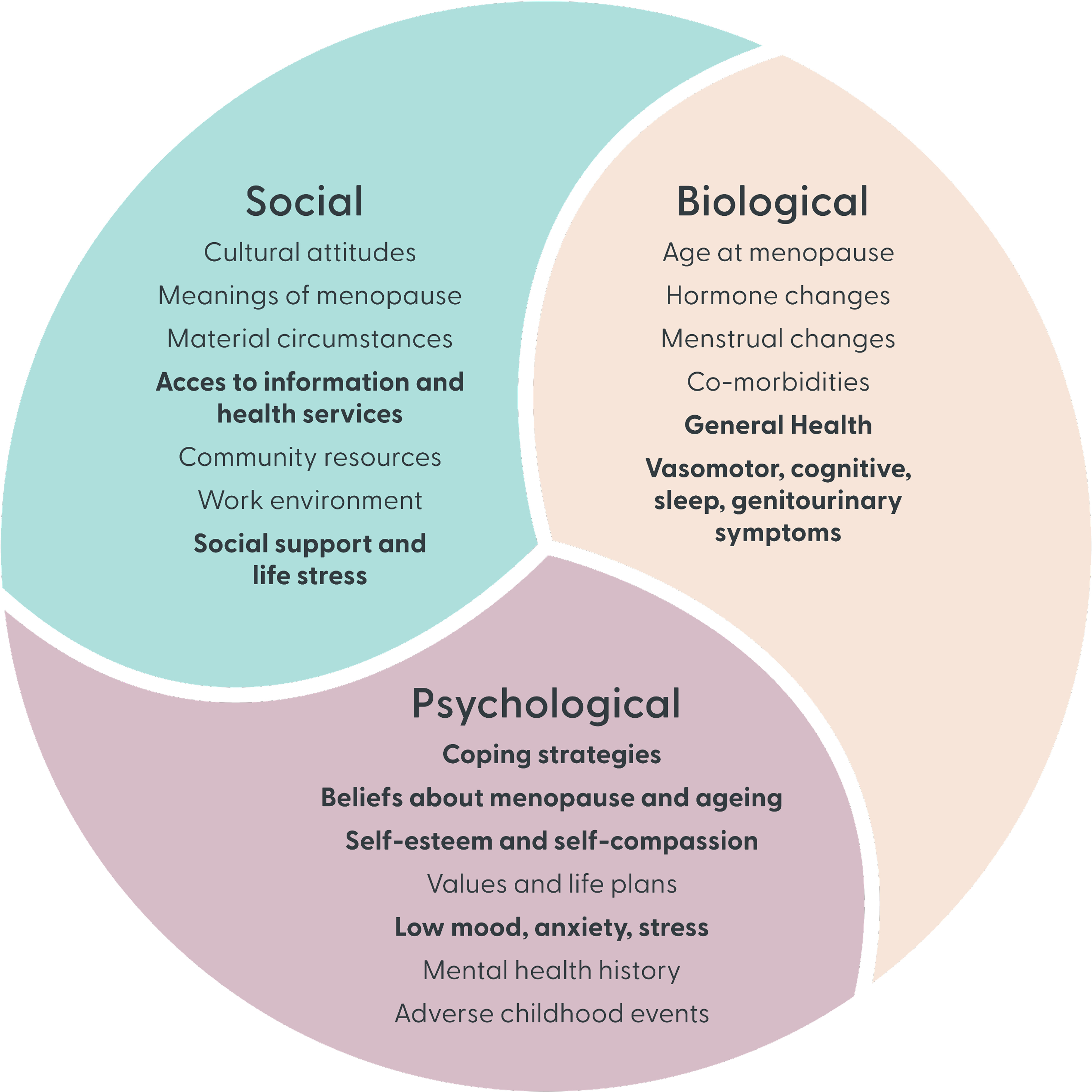 Round graphic describing social, biological, and psychological categories