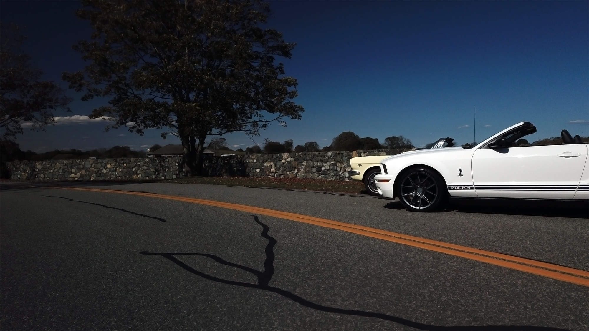 Side view of a white Shelby GT500 convertible driving on a scenic Newport, RI road with fall trees and a vintage yellow car in the background.