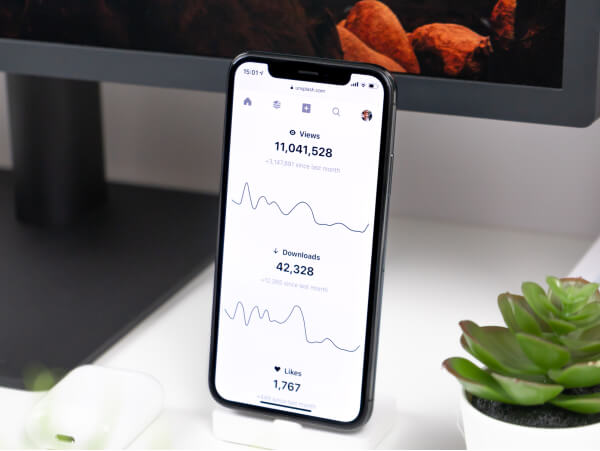 License - Investor X Webflow Template