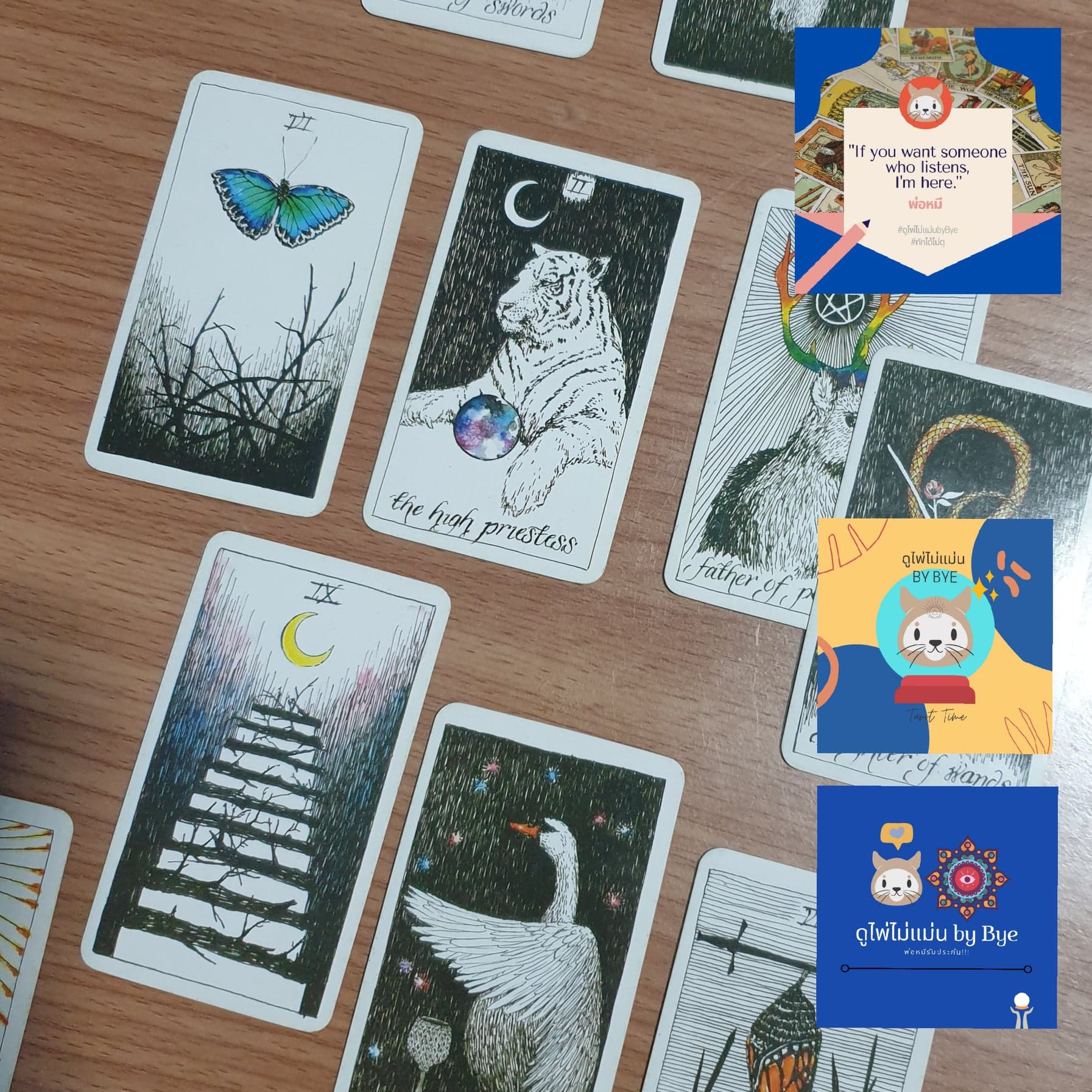 รูปไพ่ทาโร่ tarotbybye