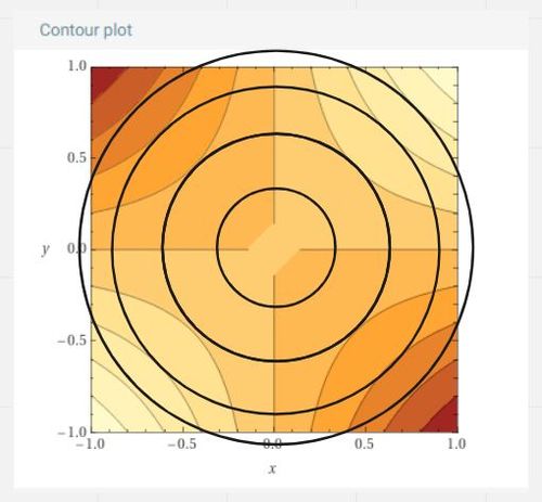 constrain optimization 2