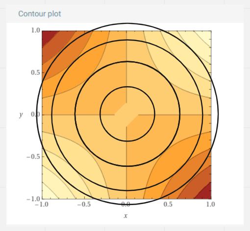 constrain optimization 2