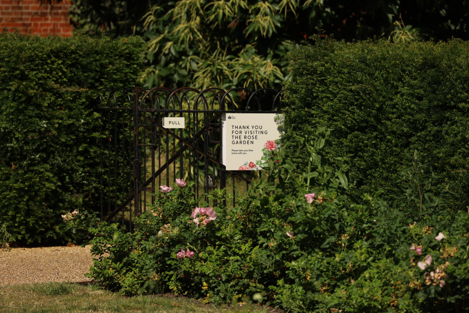 Greenwich's Rose Garden Returns: A Three-Year Transformation Worth the Wait, Royal park, exsit 
