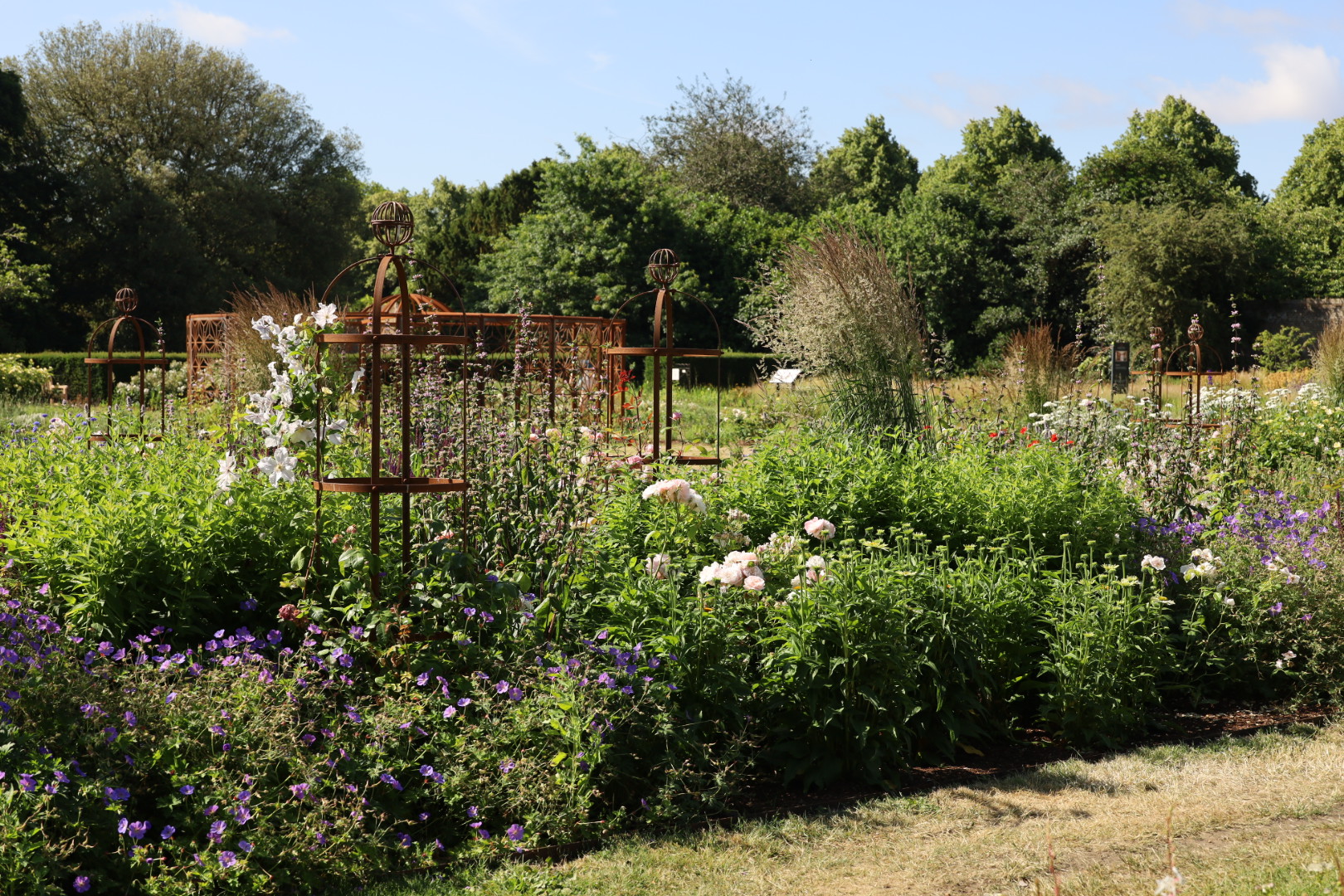 Three-Year Transformation Worth the Wait, Best London Rose gardens, by the smell of roses