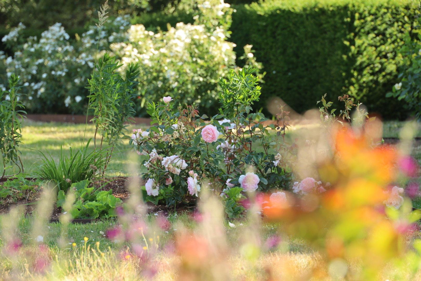 Three-Year Transformation Worth the Wait, Best London Rose gardens, by the smell of roses