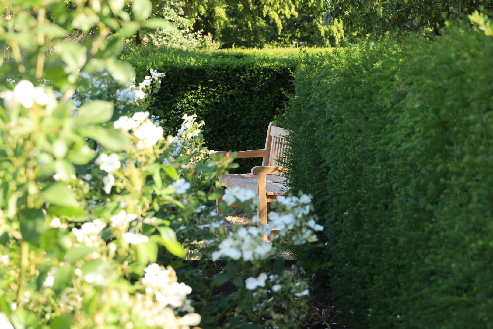 Greenwich Rose Garden, Best roses gardens in London 