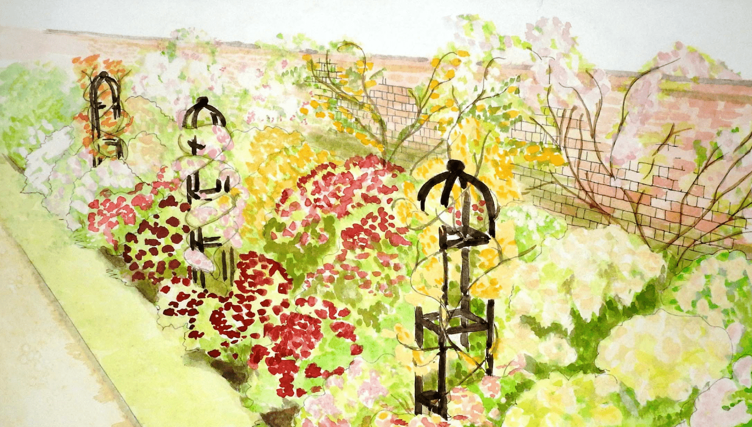 Hampton Court Rose Garden Sketch of the Rose garden by the Historic Roses Group - Old Rose plantings back in 2016