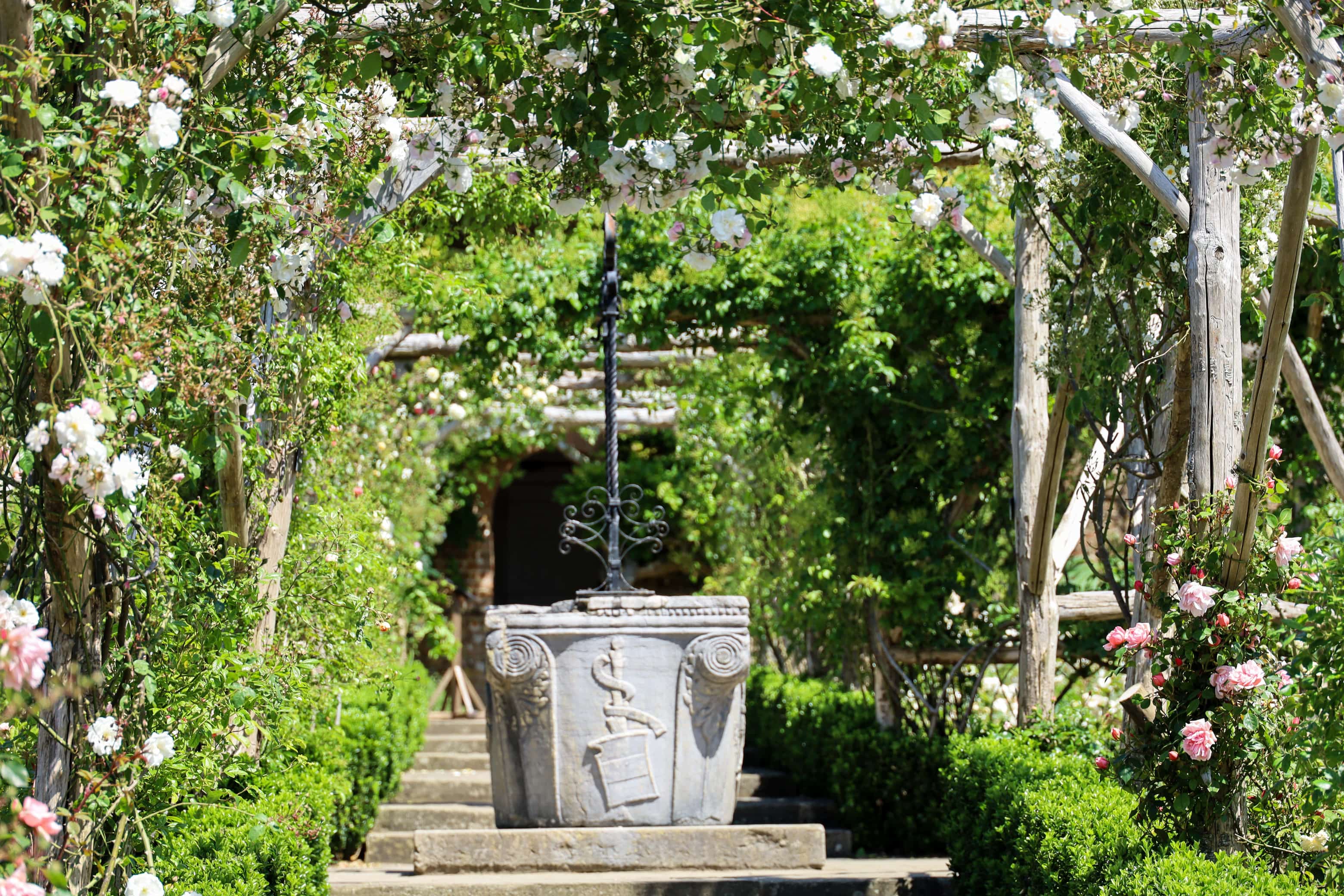 A Complete Guide to Roses at Polesden Lacey: Documenting the