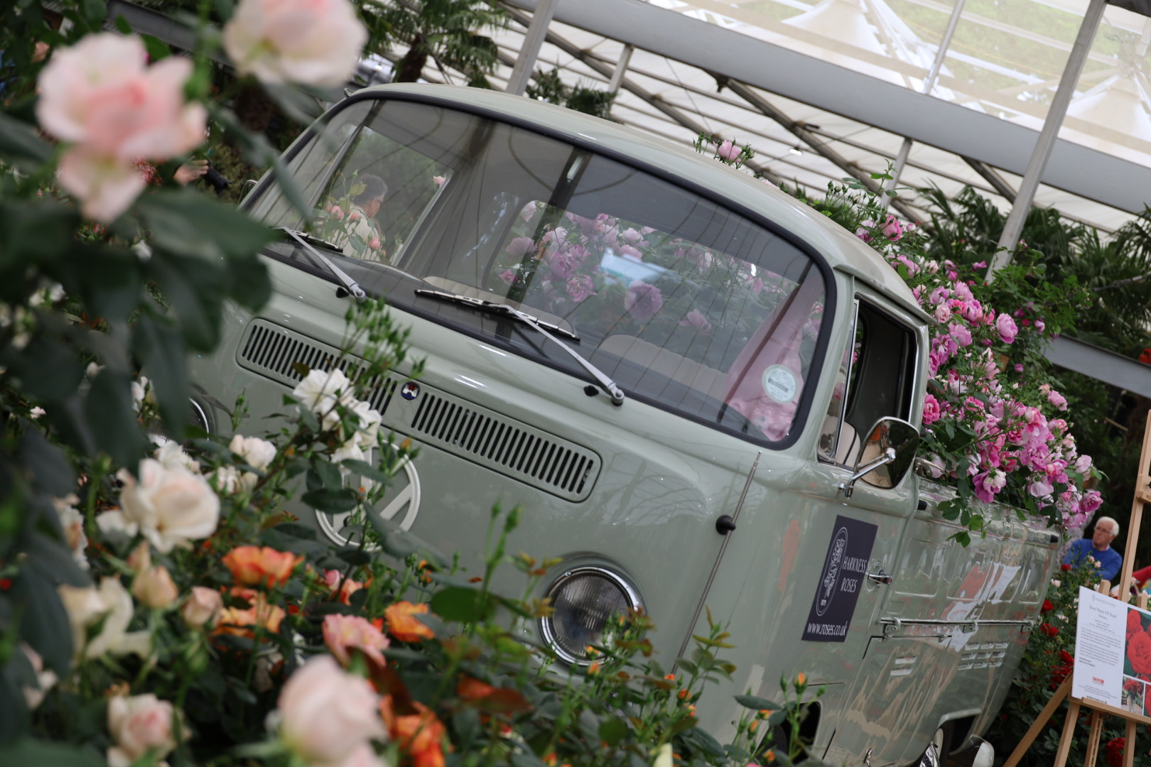 Harkness Roses - pink cloud of roses inside a Volkswagen Van, Chelsea Flower Show 2026, Garden roses 2026, rose displays