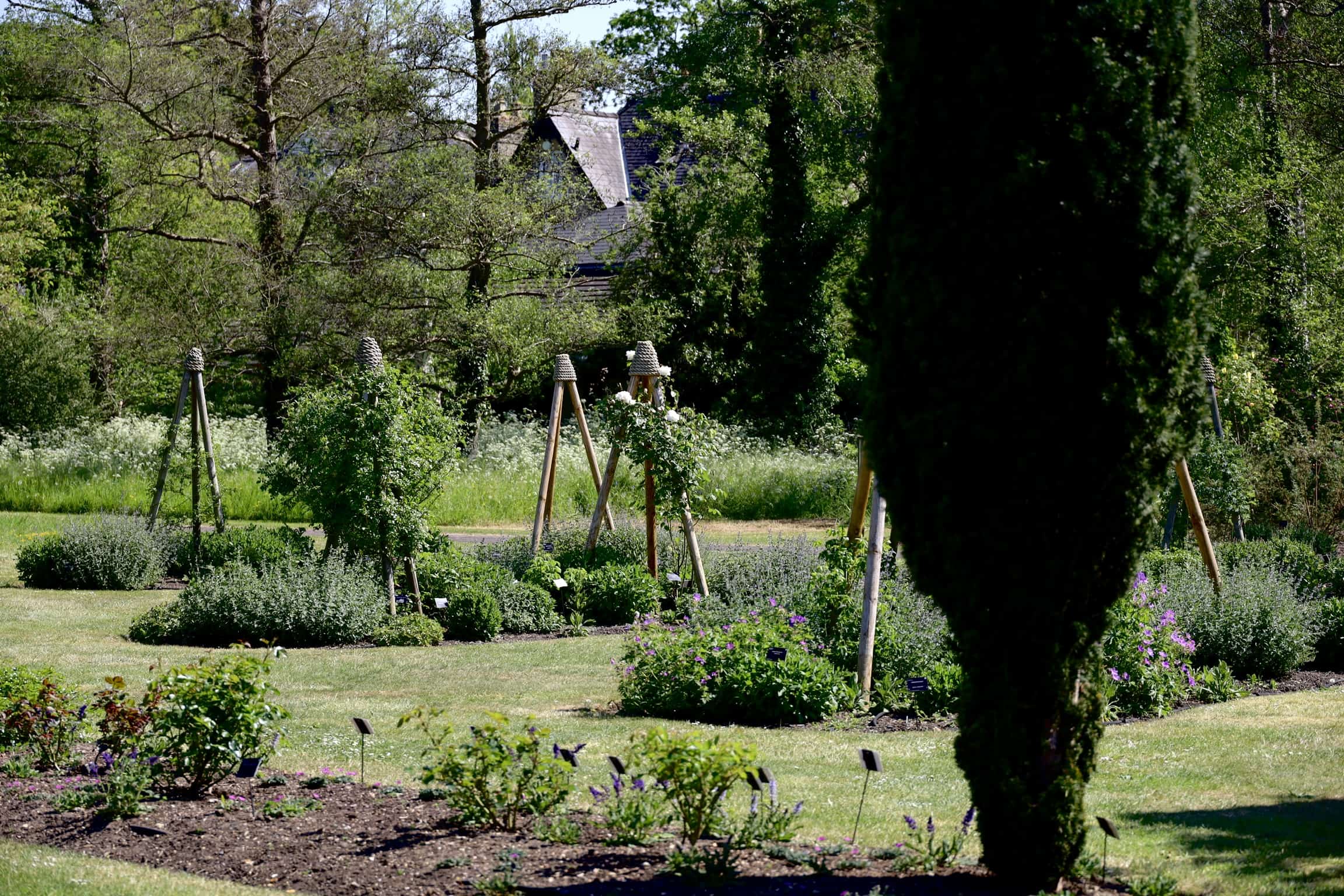 The Rose Garden at Cambridge University Botanic Garden