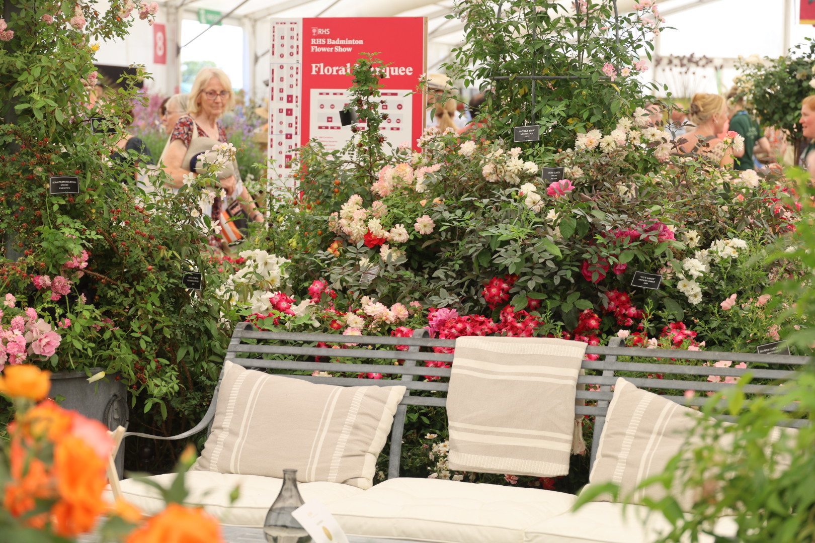 The Most Beautiful Roses Spotted at RHS Badminton Flower Show 2026