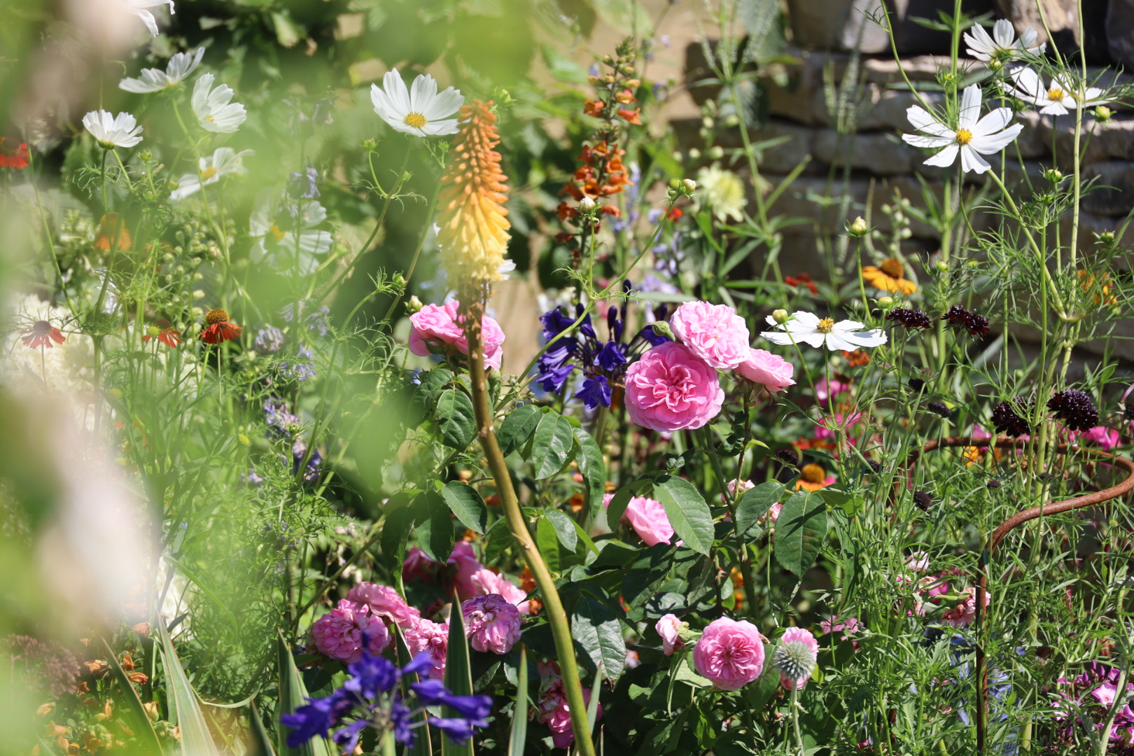 The Most Beautiful Roses Spotted at RHS Badminton Flower Show 2026, Roses at the Honing Heritage, by Nick Leitch at the RHS Badminton Flower Show 2026