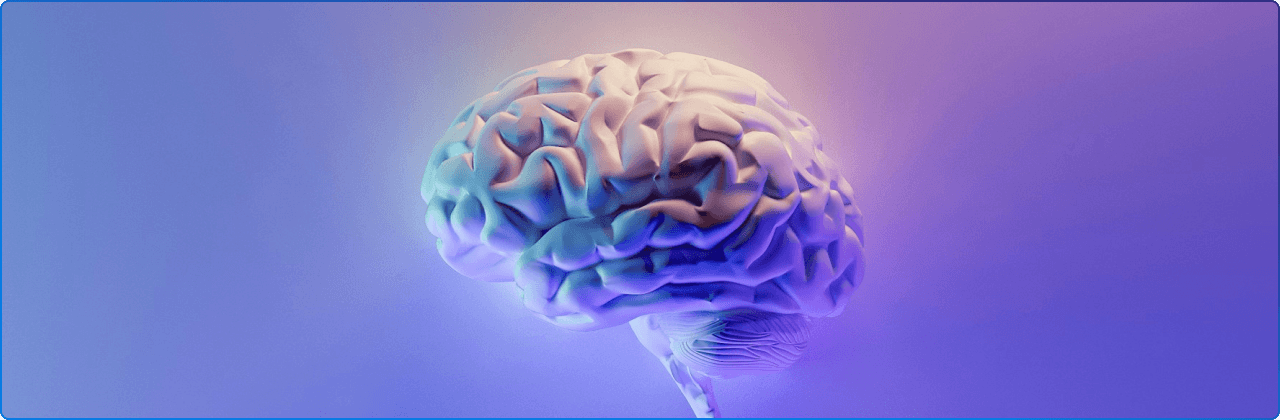 A photo of a human brain