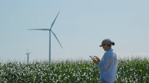 Our sustainability