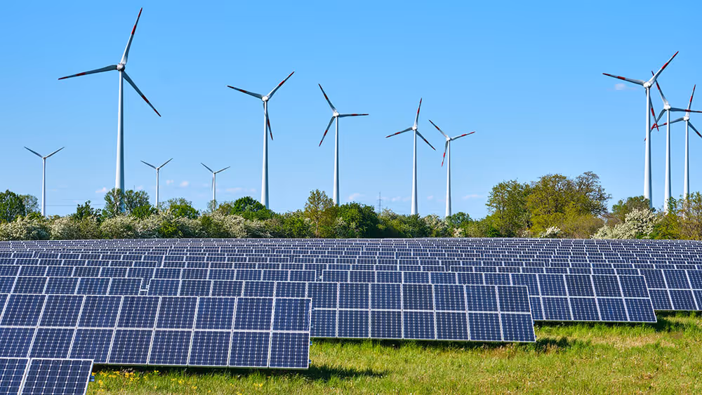 Solar panels in a green field with wind turbines in the background against a clear blue sky.